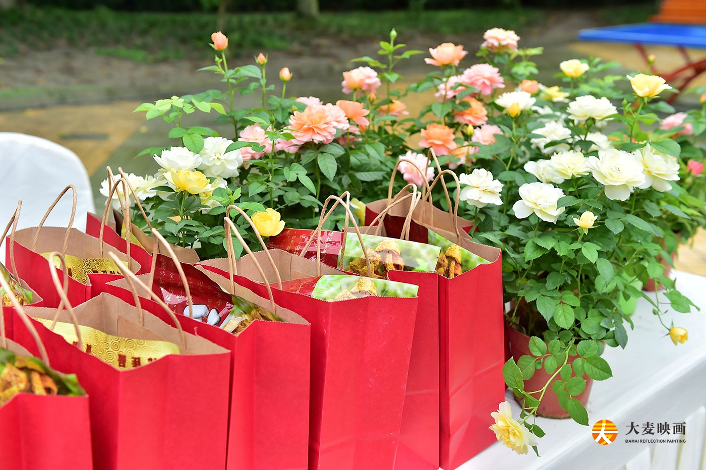 溫江區(qū)林下套種食用菌創(chuàng)新產(chǎn)業(yè)論壇